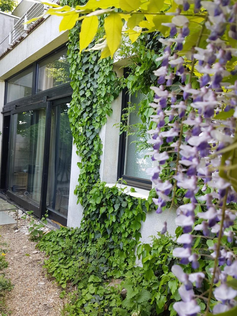 Breeze Appartement